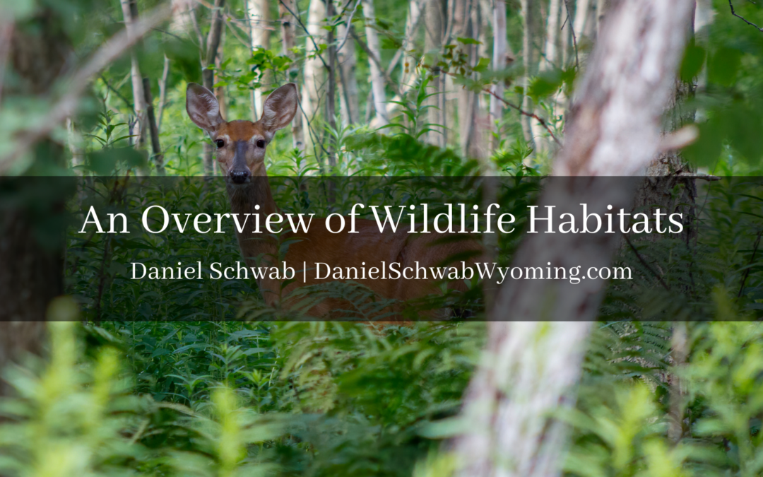 An Overview of Wildlife Habitats