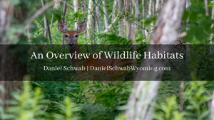 An Overview Of Wildlife Habitats Daniel Schwab Wyoming