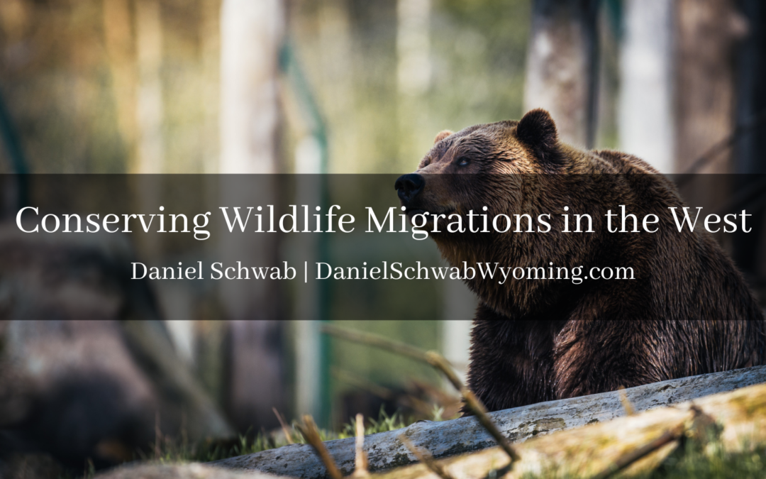 Conserving Wildlife Migrations in the West Daniel Schwab Wyoming