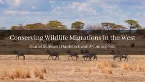 Conserving Wildlife Migrations in the West Daniel Schwab Wyoming