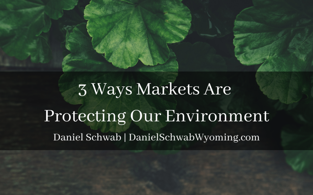 3 Ways Markets Are Protecting Our Environment