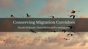 Daniel Schwab Wyoming Conserving Migration Corridors