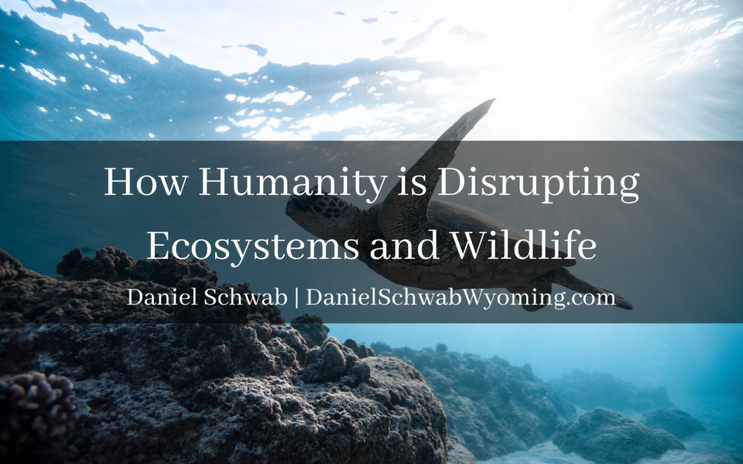 How Humanity is Disrupting Ecosystems and Wildlife