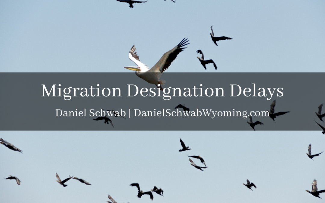 Migration Designation Delays