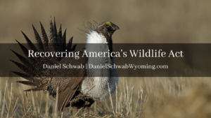 Daniel Schwab Wyoming-Recovering America's Wildlife Act
