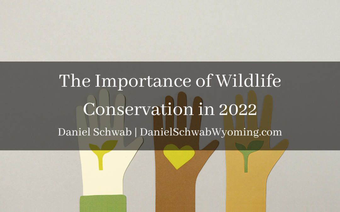 Daniel Schwab Wyoming The Importance Of Wildlife Conservation In 2022