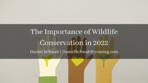 Daniel Schwab Wyoming The Importance Of Wildlife Conservation In 2022