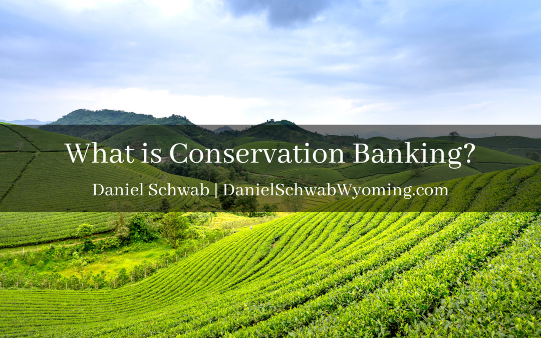 What is Conservation Banking?