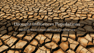 Daniel Schwab Wyoming drought influences populations