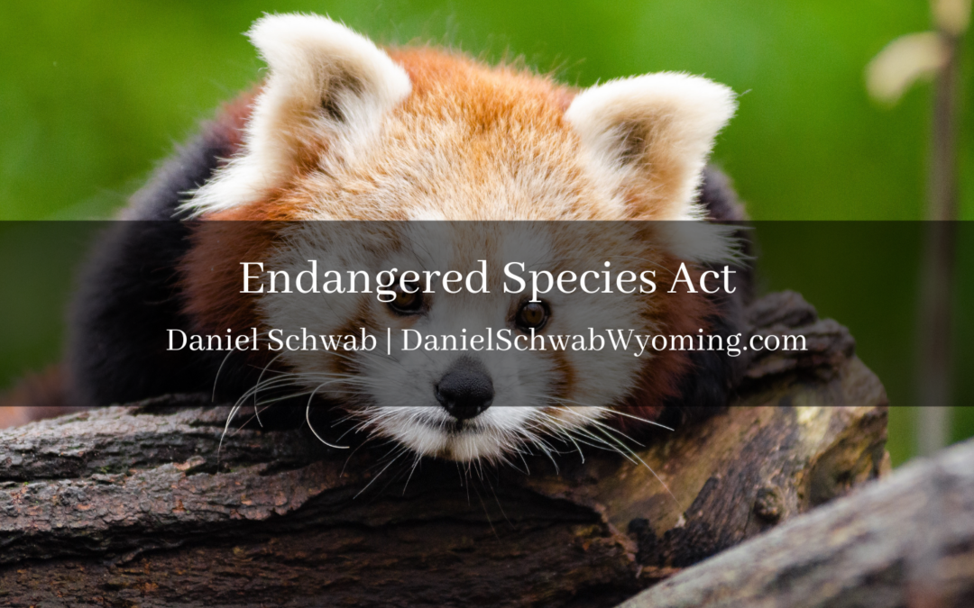 Endangered Species Act Daniel Schwab Wyoming