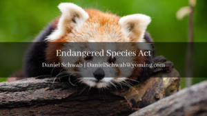 Endangered Species Act Daniel Schwab Wyoming