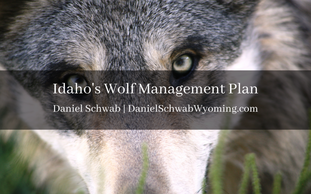 Idaho's Wolf Management Plan Daniel schwab Wyoming