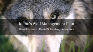 Idaho's Wolf Management Plan Daniel schwab Wyoming