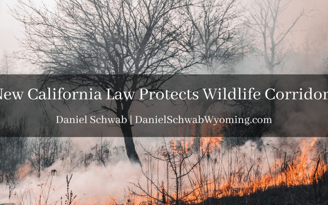 New California Law Protects Wildlife Corridors Daniel Schwab Wyoming