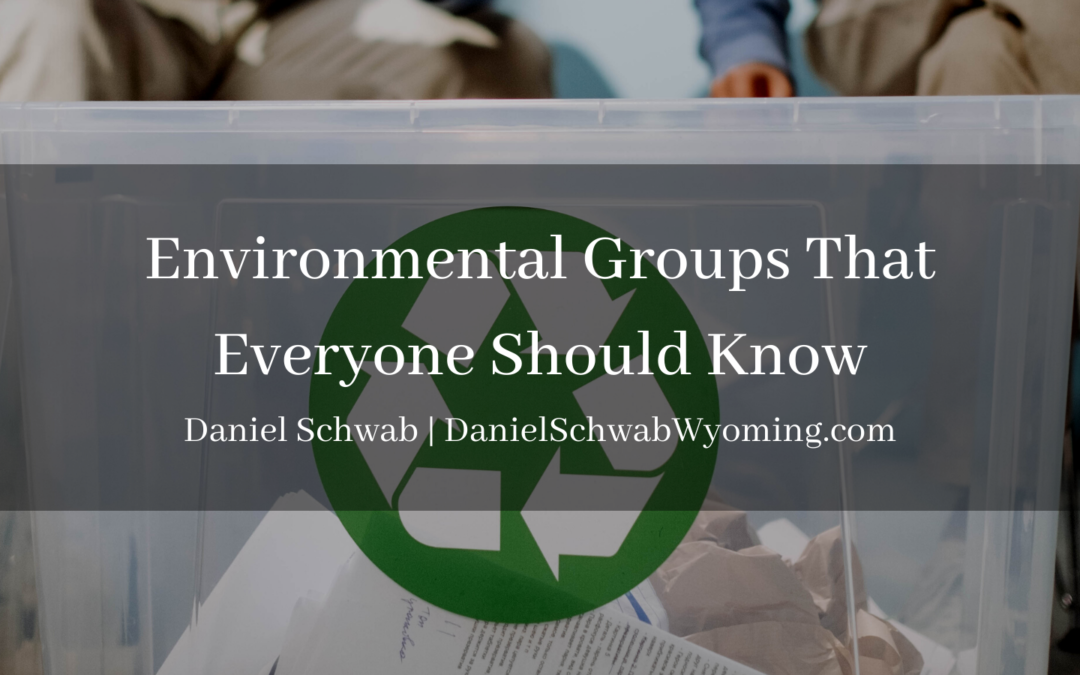 Environmental Groups That Everyone Should Know